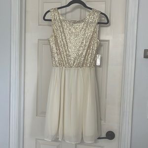 Charming Charlie Sequin Dress